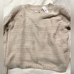 LOFT Cream Knit Crewneck Sweater